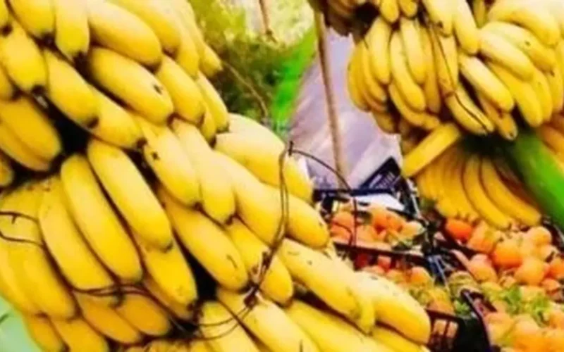 مستقر اليوم أسعار الفاكهة في بورسعيد والموز بـ20 جنيهًا